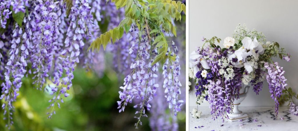 Wisteria flower arrangements